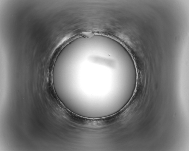 X0000086911165200704301031