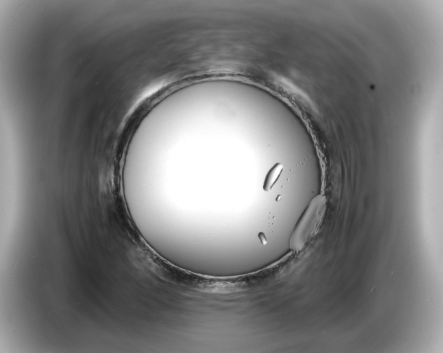 X0000086911166200704301031