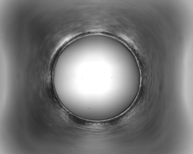 X0000086911167200704301031