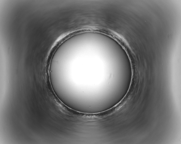 X0000086911168200704301031