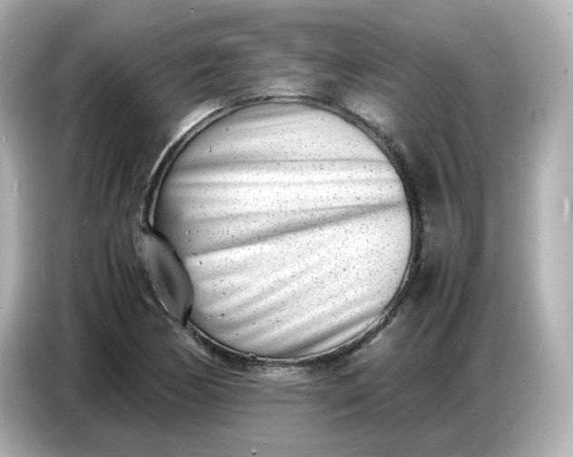 X0000086911170200704301031