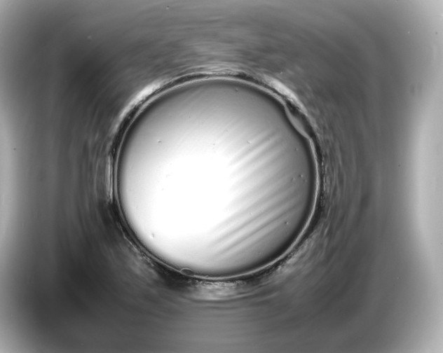 X0000086911171200704301031