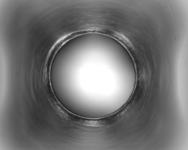 X0000086911172200704301031