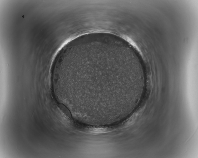 X0000086911173200704301031