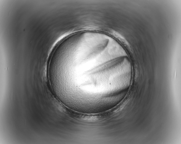 X0000086911174200704301031