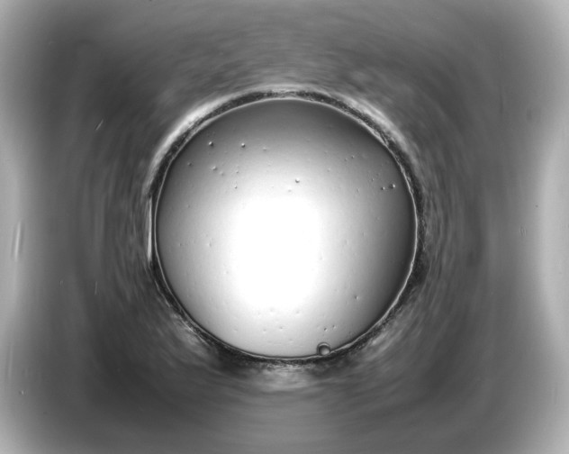 X0000086911175200704301031