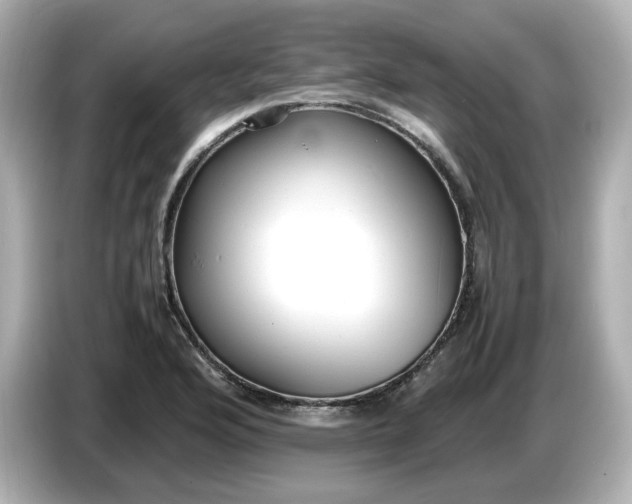 X0000086911176200704301031