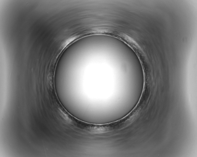 X0000086911177200704301031