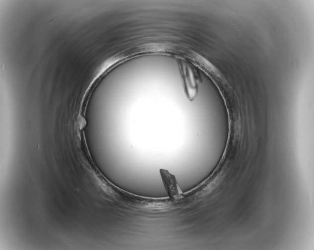 X0000086911178200704301031