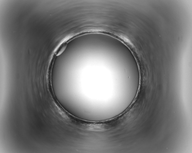 X0000086911181200704301031