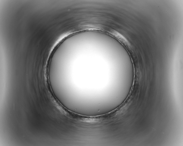 X0000086911182200704301031