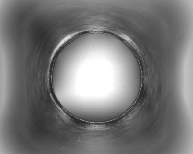 X0000086911183200704301031