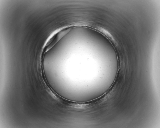 X0000086911184200704301031