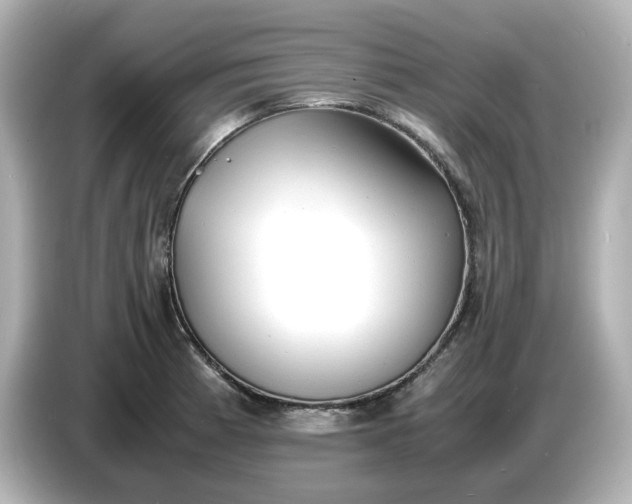 X0000086911185200704301031