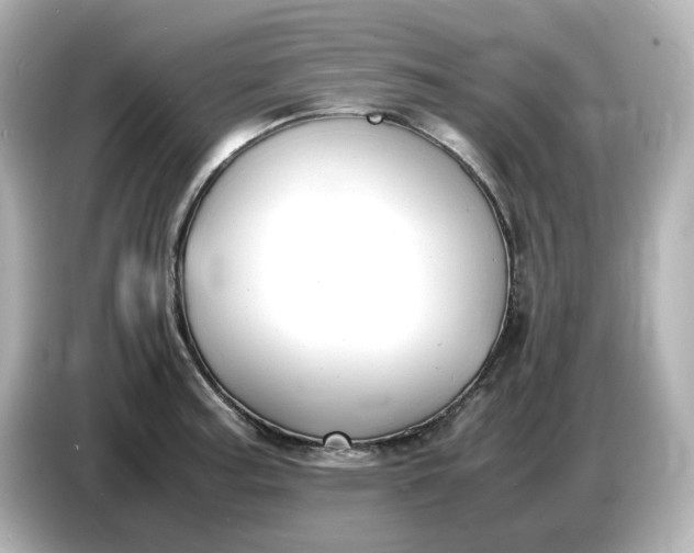 X0000086911187200704301031