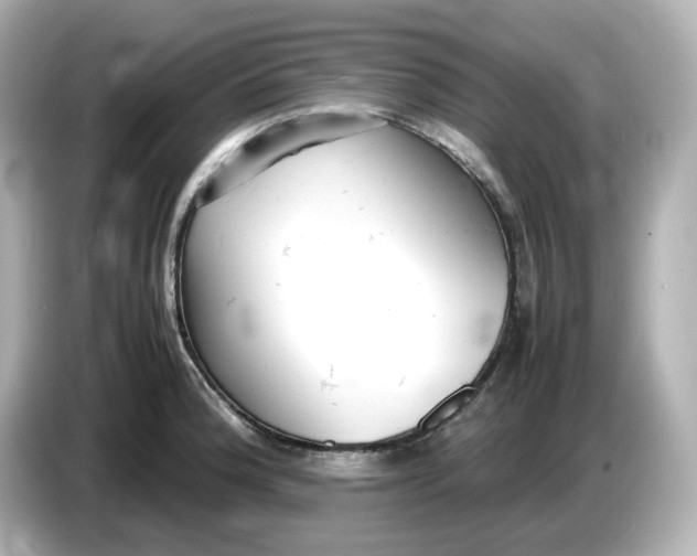 X0000086911188200704301031