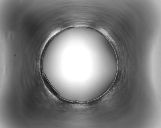 X0000086911189200704301031