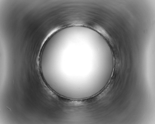 X0000086911190200704301031