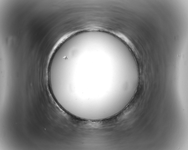 X0000086911191200704301031