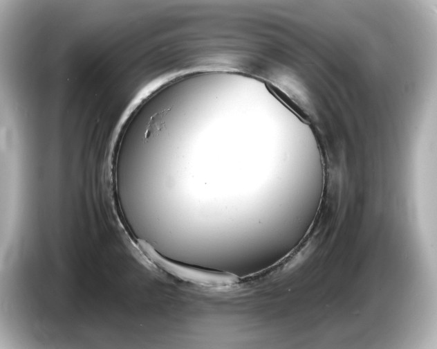 X0000086911192200704301031