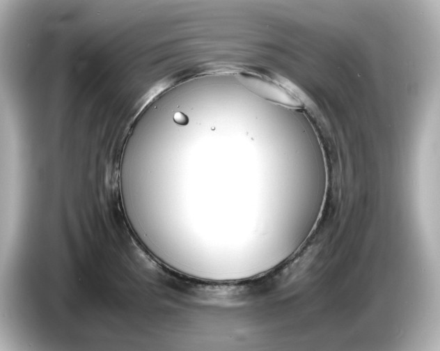 X0000086911193200704301031