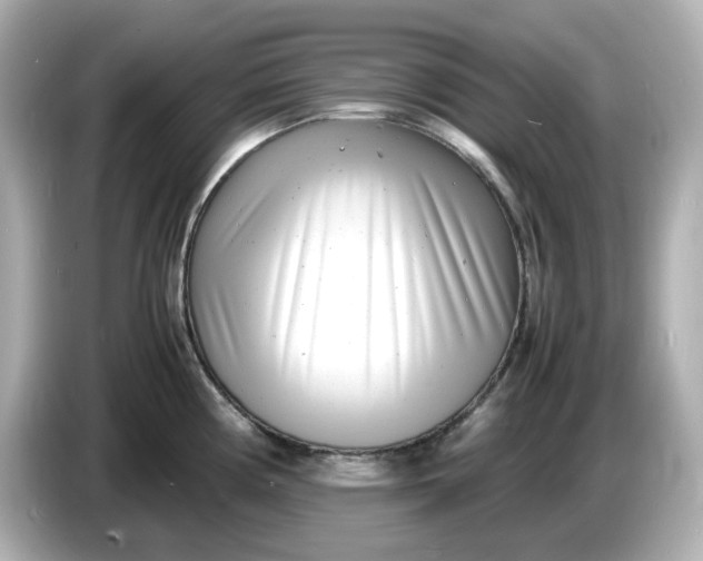 X0000086911194200704301031