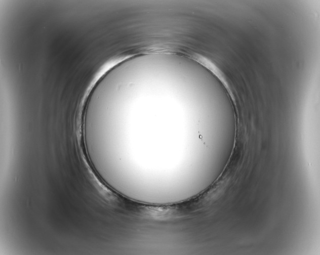 X0000086911195200704301031