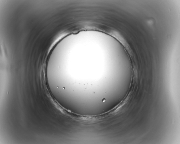 X0000086911198200704301031