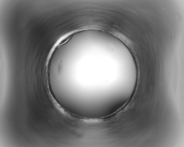 X0000086911200200704301031