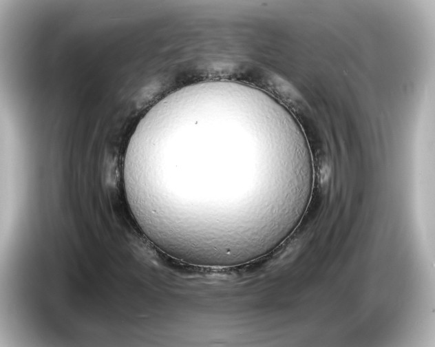 X0000086911204200704301030