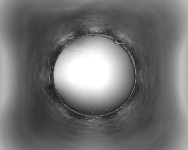 X0000086911205200704301030