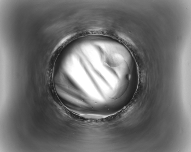 X0000086911208200704301030