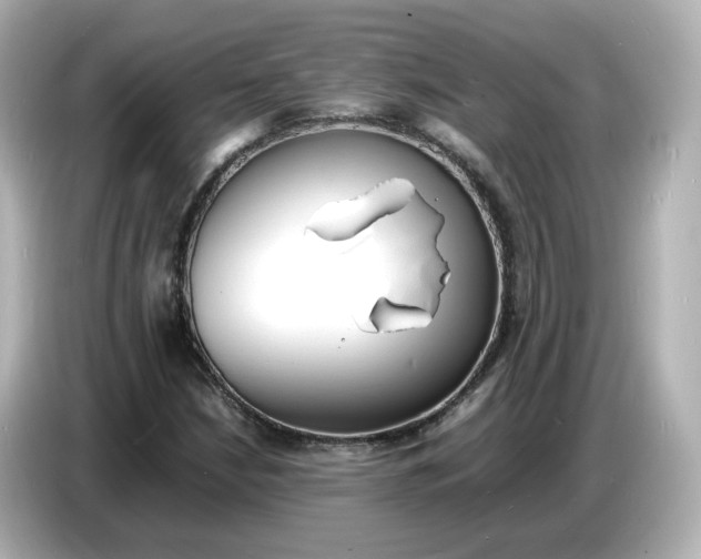 X0000086911210200704301030