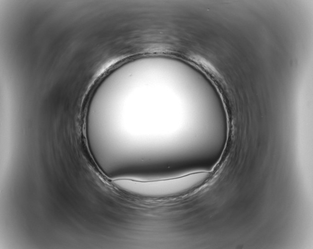 X0000086911212200704301030