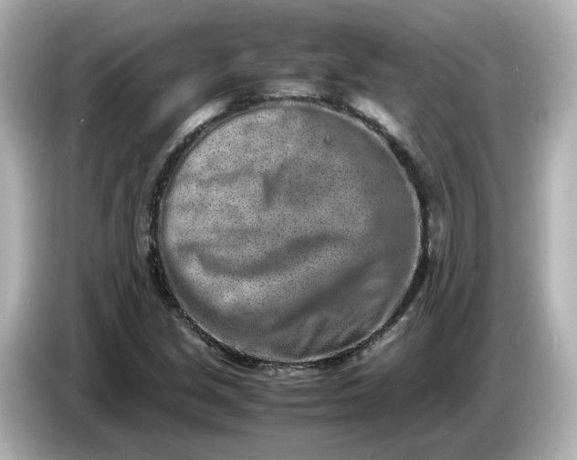 X0000086911213200704301030