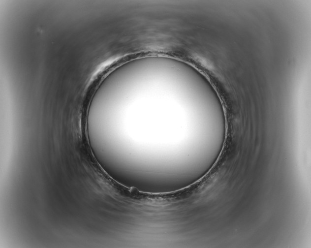 X0000086911214200704301030