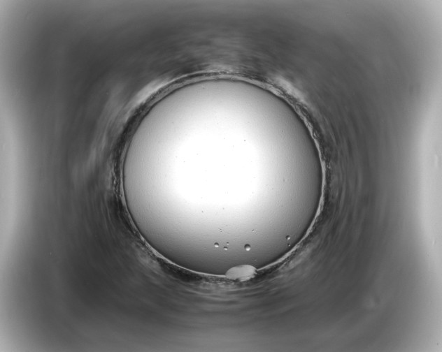 X0000086911215200704301030