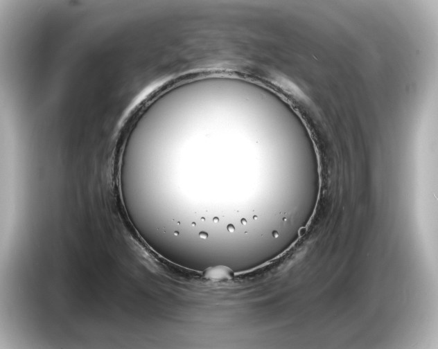 X0000086911216200704301030