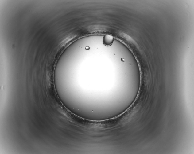 X0000086911217200704301030