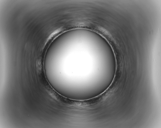 X0000086911218200704301030