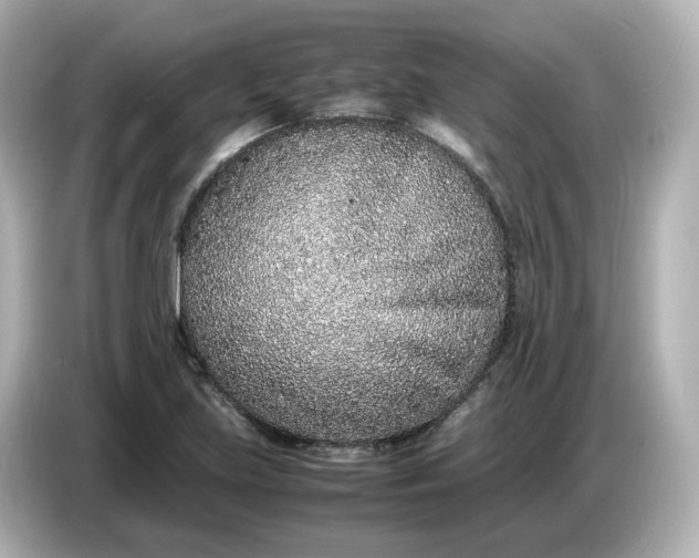 X0000086911219200704301030