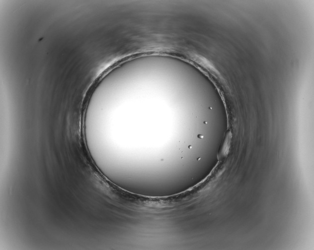 X0000086911220200704301030