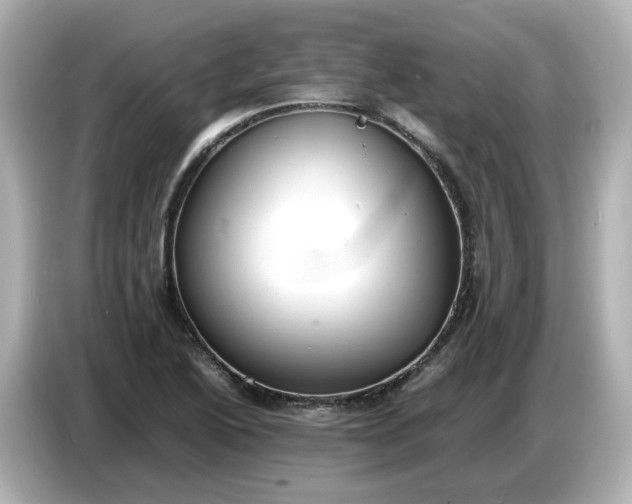 X0000086911222200704301030