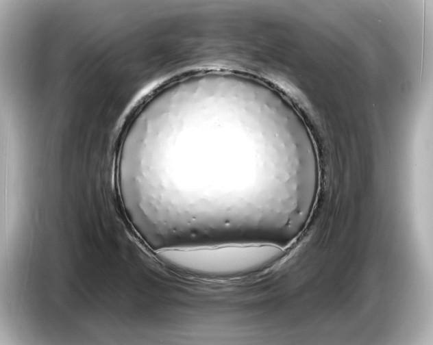 X0000086911224200704301030