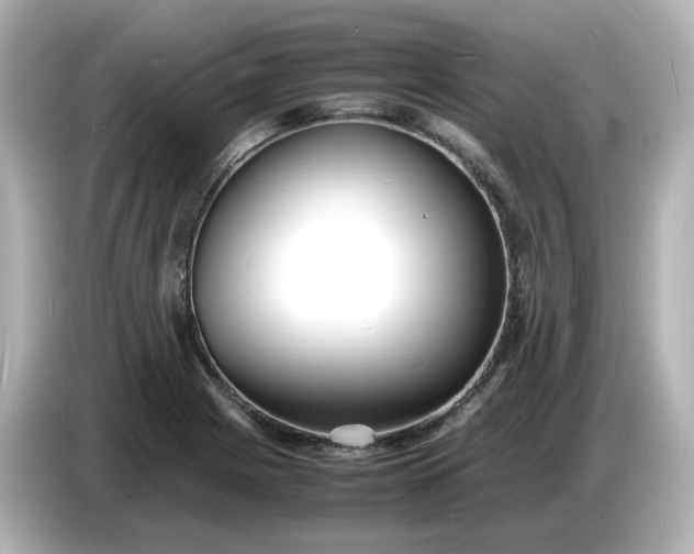 X0000086911225200704301030