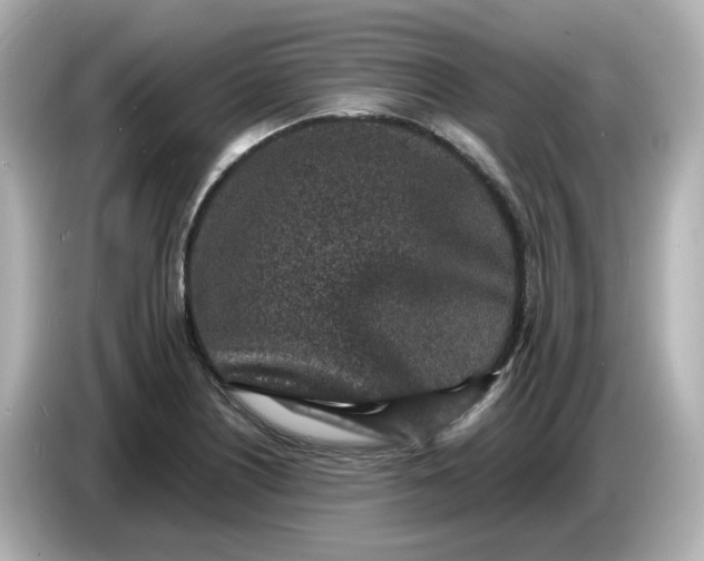 X0000086911226200704301030