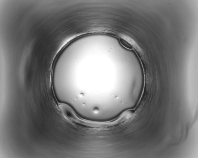 X0000086911228200704301030