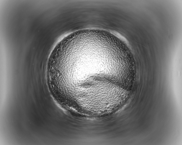 X0000086911231200704301030