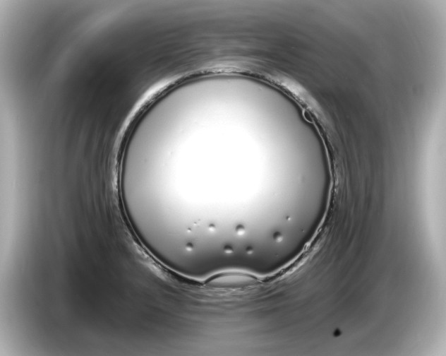 X0000086911232200704301030