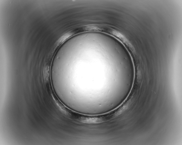 X0000086911233200704301030